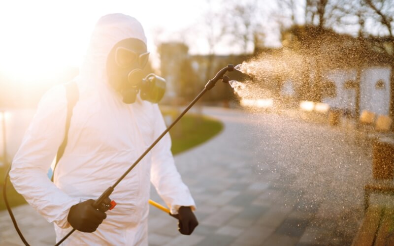 pest control website design digital marketing seo